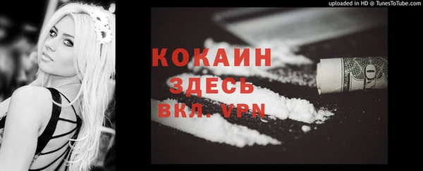 метадон Горняк
