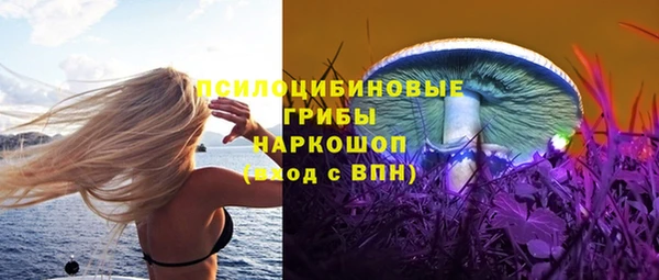 метадон Горняк