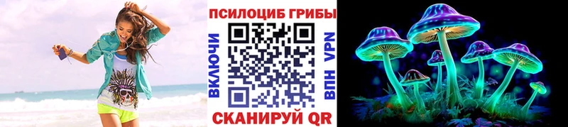 Псилоцибиновые грибы Psilocybe площадка наркотические препараты Горно-Алтайск