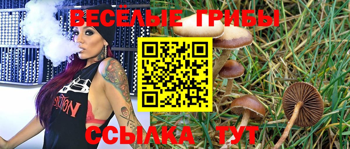 Галлюциногенные грибы Magic Shrooms Горно-Алтайск
