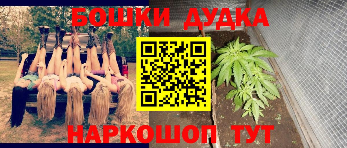 Горно-Алтайск  Конопля гибрид  Бошки Шишки план  Вход с VPN  Каннабис OG Kush 
